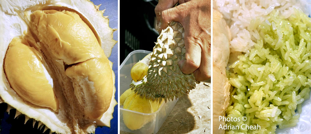 Pulut durian © Adrian Cheah