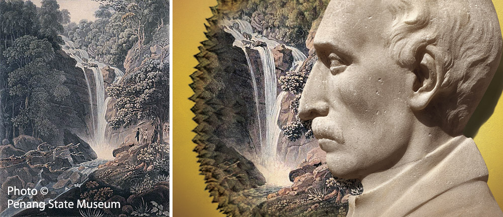 Spiky, Like a Durian © Mike Gibby