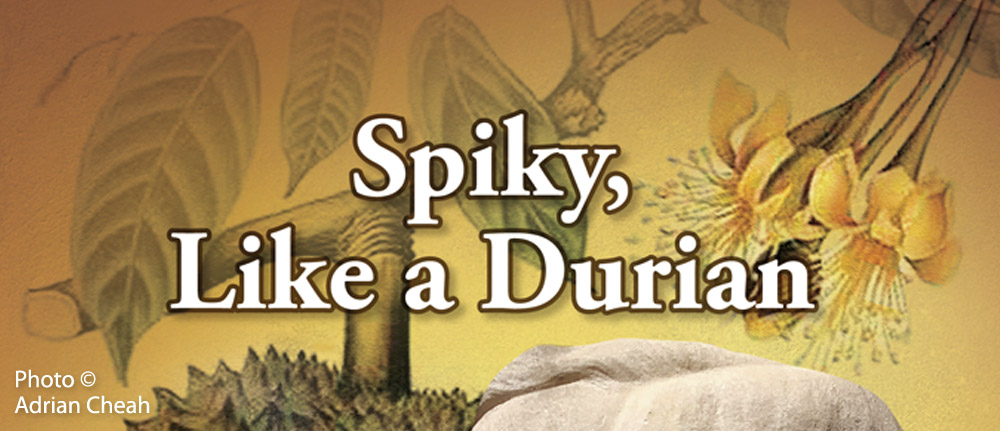 Spiky, Like a Durian © Mike Gibby