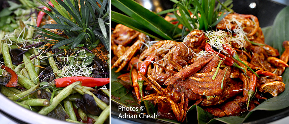 Raikan Rasa at The Tamarra © Adrian Cheah