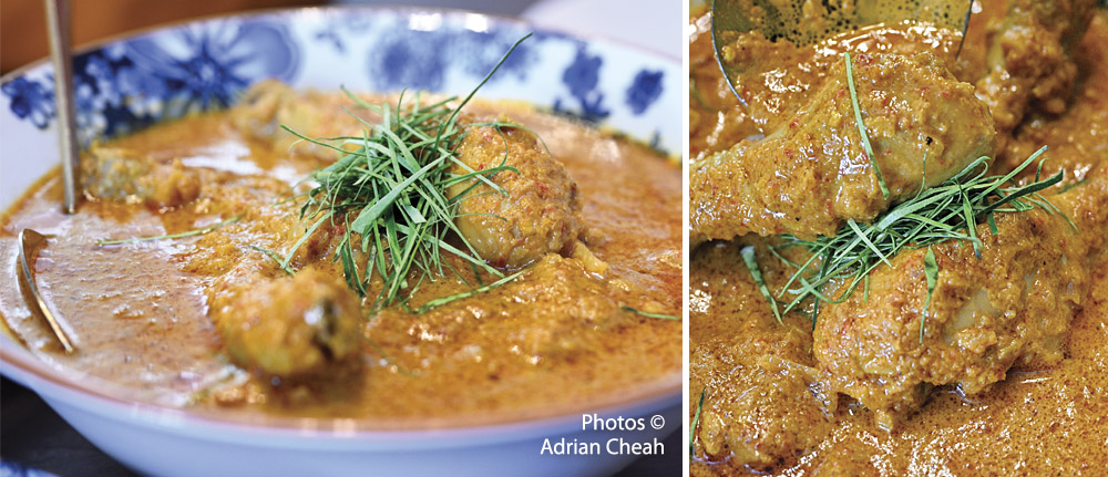 Auntie Gaik Lean - Kari Kapitan; photo © Adrian Cheah