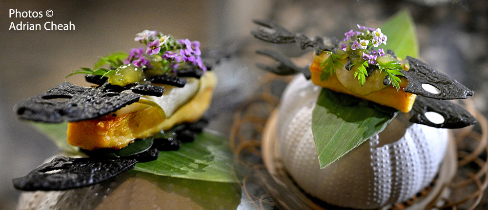 Mémoire Molecular Gastronomy Dining; photos © Adrian Cheah