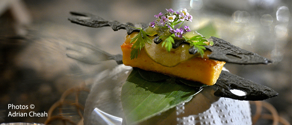 Mémoire Molecular Gastronomy Dining; photos © Adrian Cheah