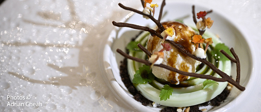 Mémoire Molecular Gastronomy Dining; photos © Adrian Cheah