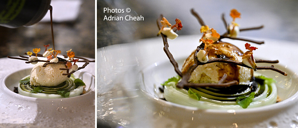 Mémoire Molecular Gastronomy Dining; photos © Adrian Cheah