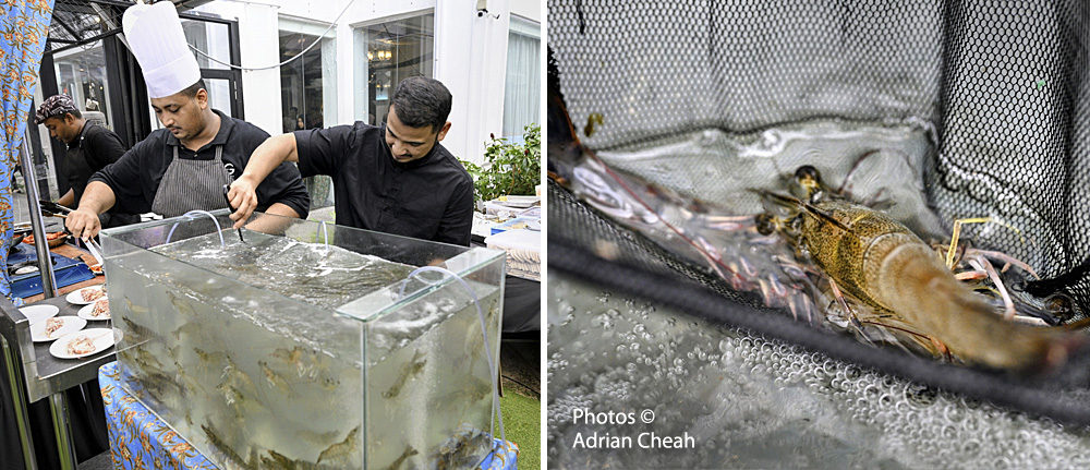 BazaarRia 2026 at The Tamarra; photos © Adrian Cheah