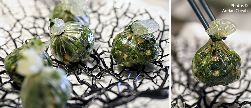 Longjing; photos © Adrian Cheah