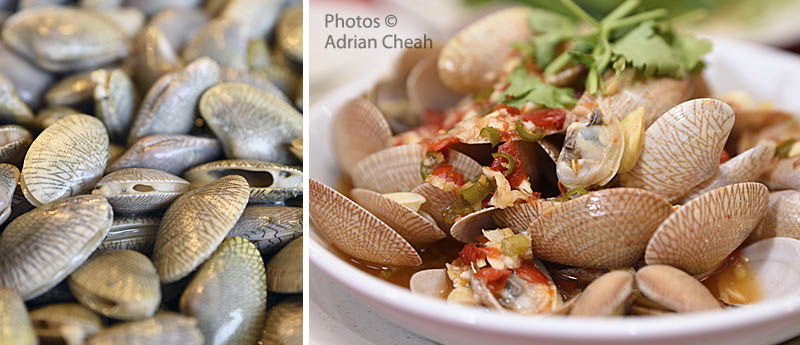 Da Shu Xia Seafood House © Adrian Cheah