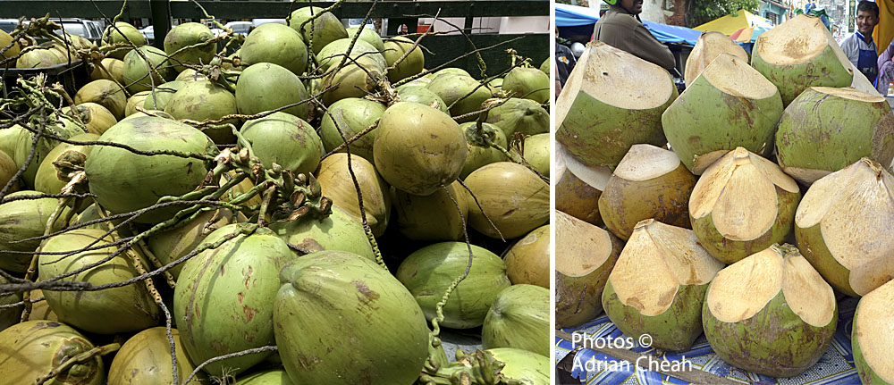 coconut © Adrian Cheah