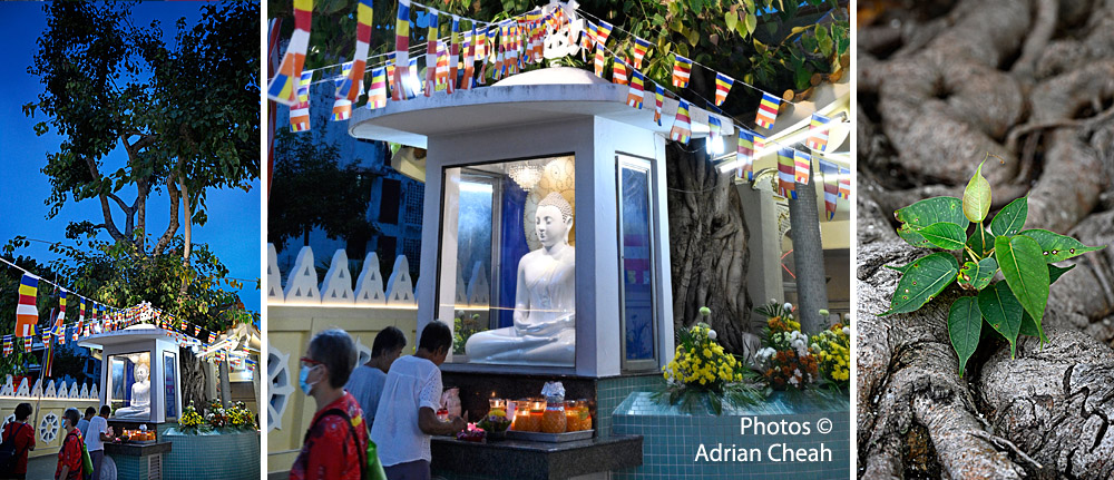 Mahindarama Buddhist Temple © Adrian Cheah
