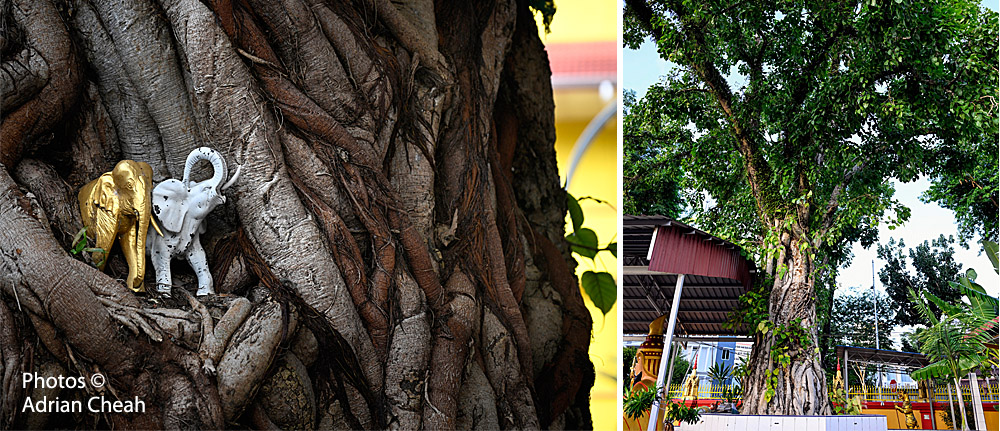 Wat Buppharam © Adrian Cheah